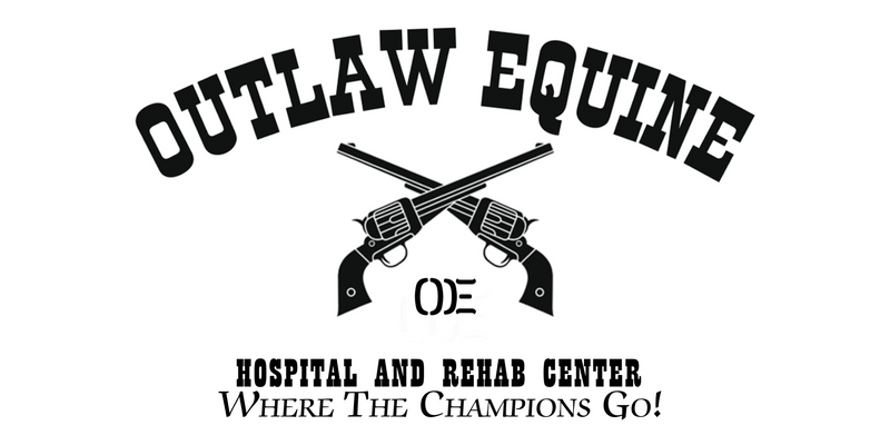 Outlaw Equine
