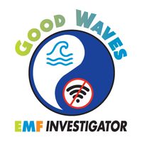 Good Waves 🌊 EMF 📶 Investigator