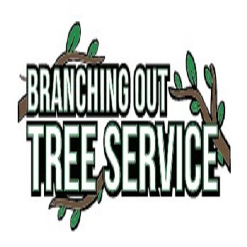 Tree Service Suffolk County Amityville