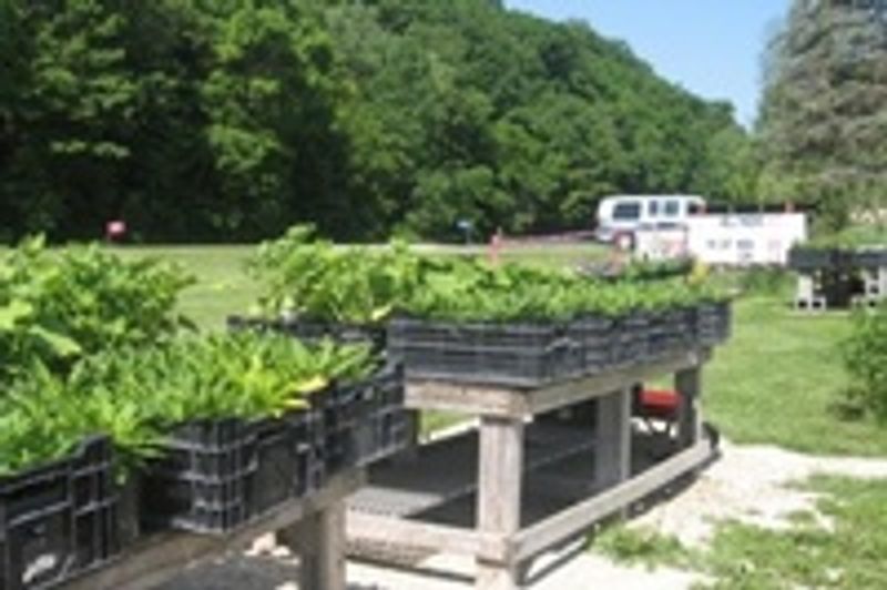 RLH Grain LLC