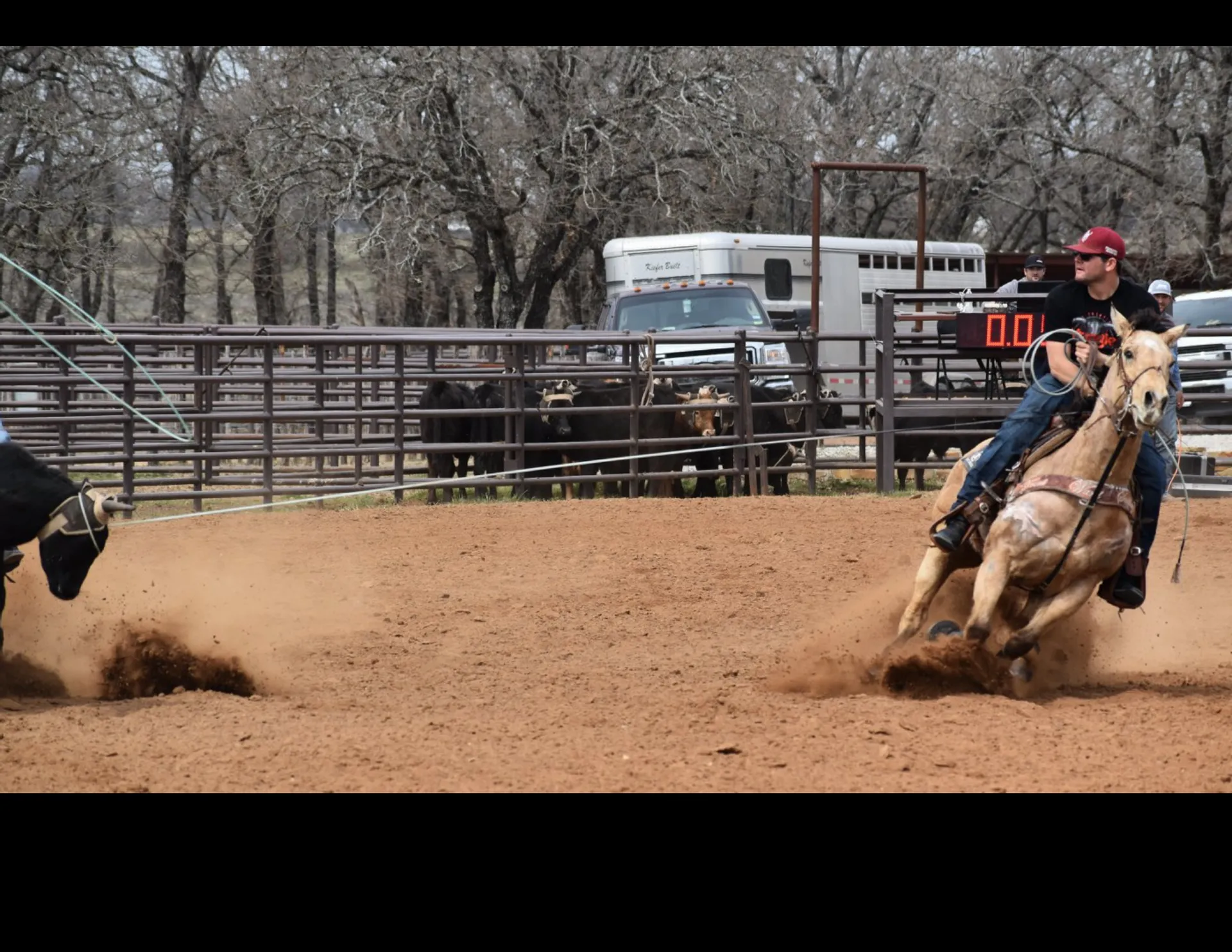 Weekly Ropings
