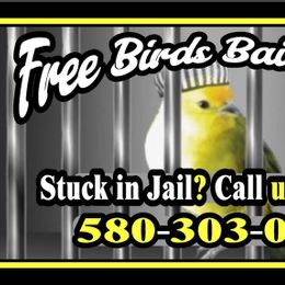 Free Bird Bail Bonds