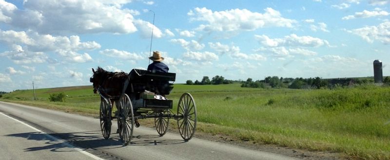 Amish man riding in a horse-drawn buggy in the countryside of Harmony, MN