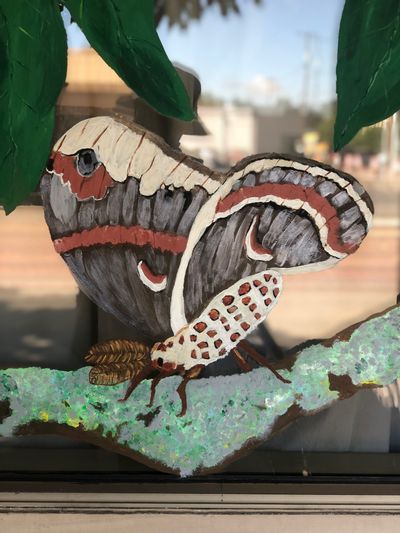 A window painting of a beautiful grey and white butterfly under some big green leaves.