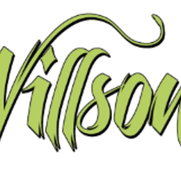 Willsonthropic, Inc/Friendly City Festivals