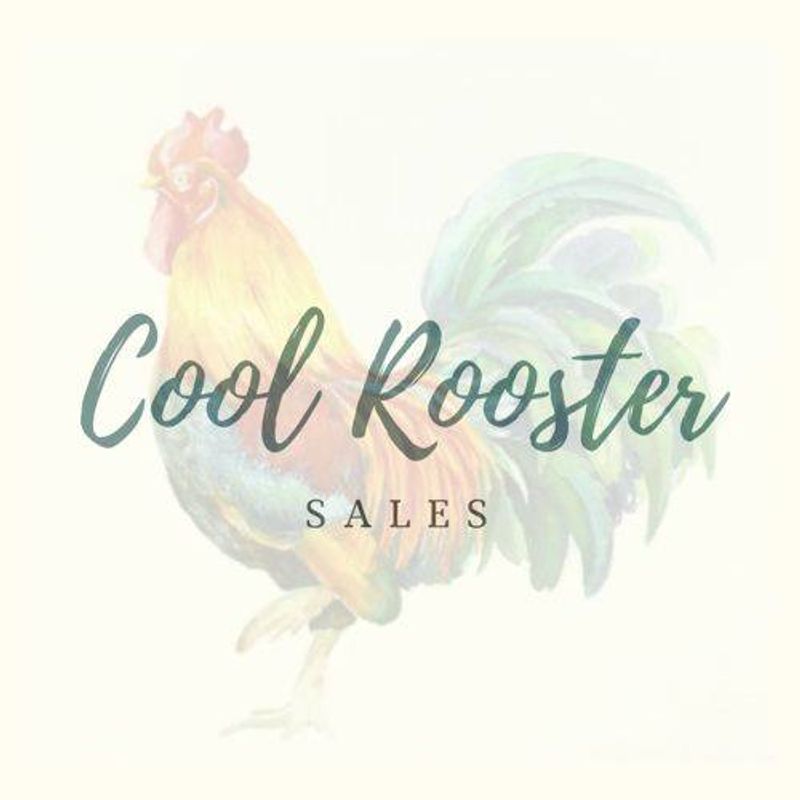 Cool Rooster Sales Inc.