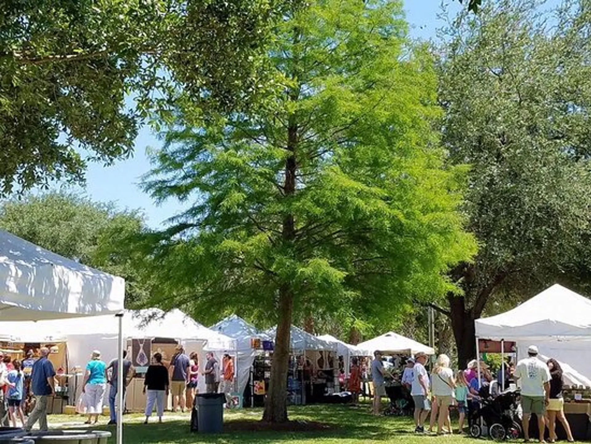 Application for the 2023 Art in The Park, a Foley Art Center Event