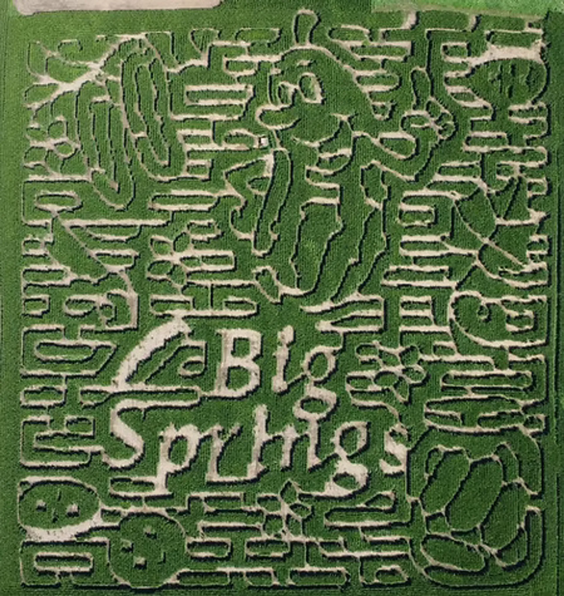 Big Springs Pumpkin Farm and Corn Maze