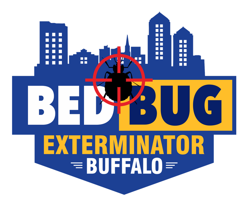 Bed Bug Exterminator Buffalo