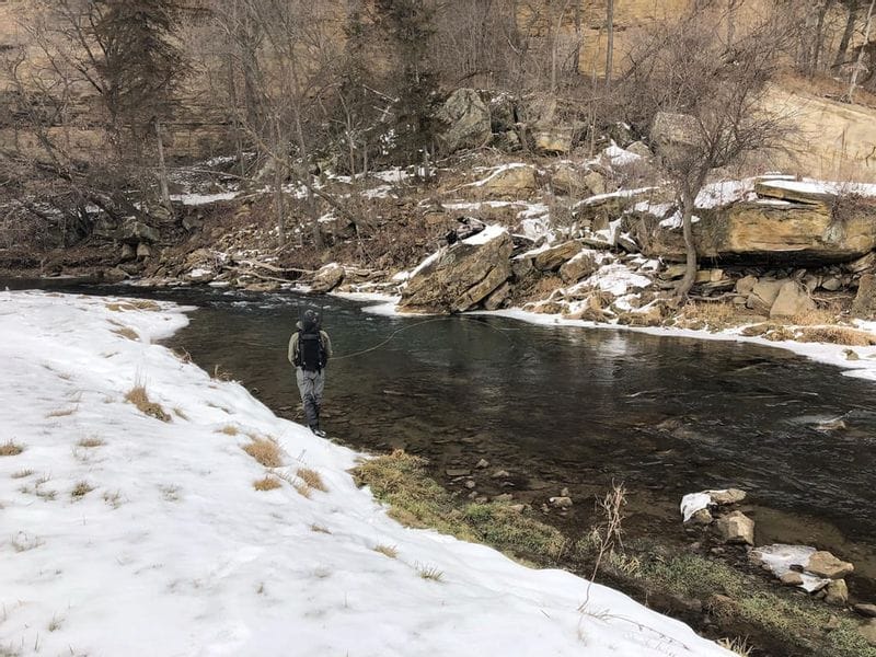 A fly angler fishing the Root River in winter, with snow along the riverbank.