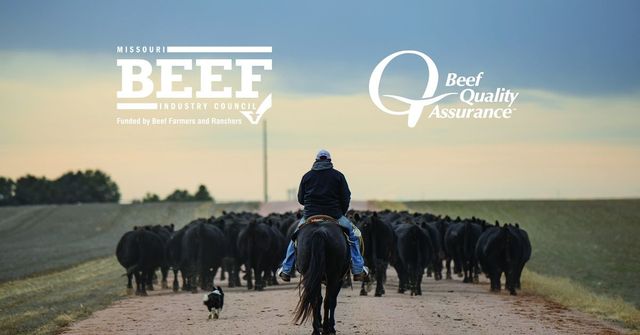Beef Quality Assurance Training