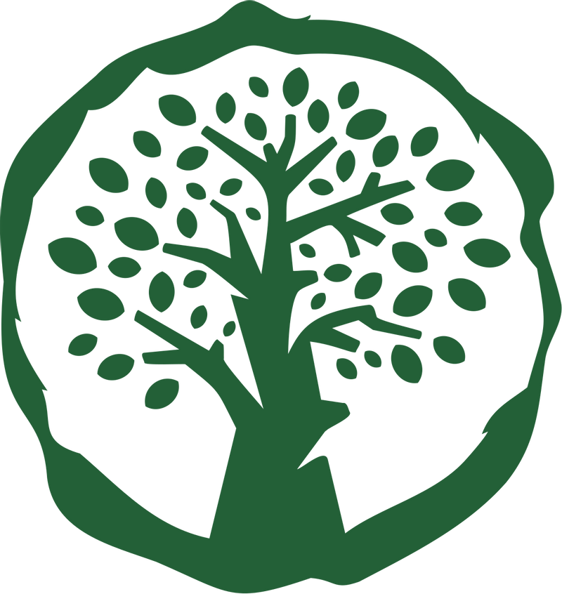 Paradise Palm Services
