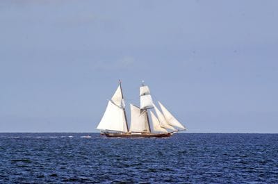 Ship Manifests and Oaths of Allegience
