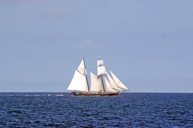 Ship Manifests and Oaths of Allegience