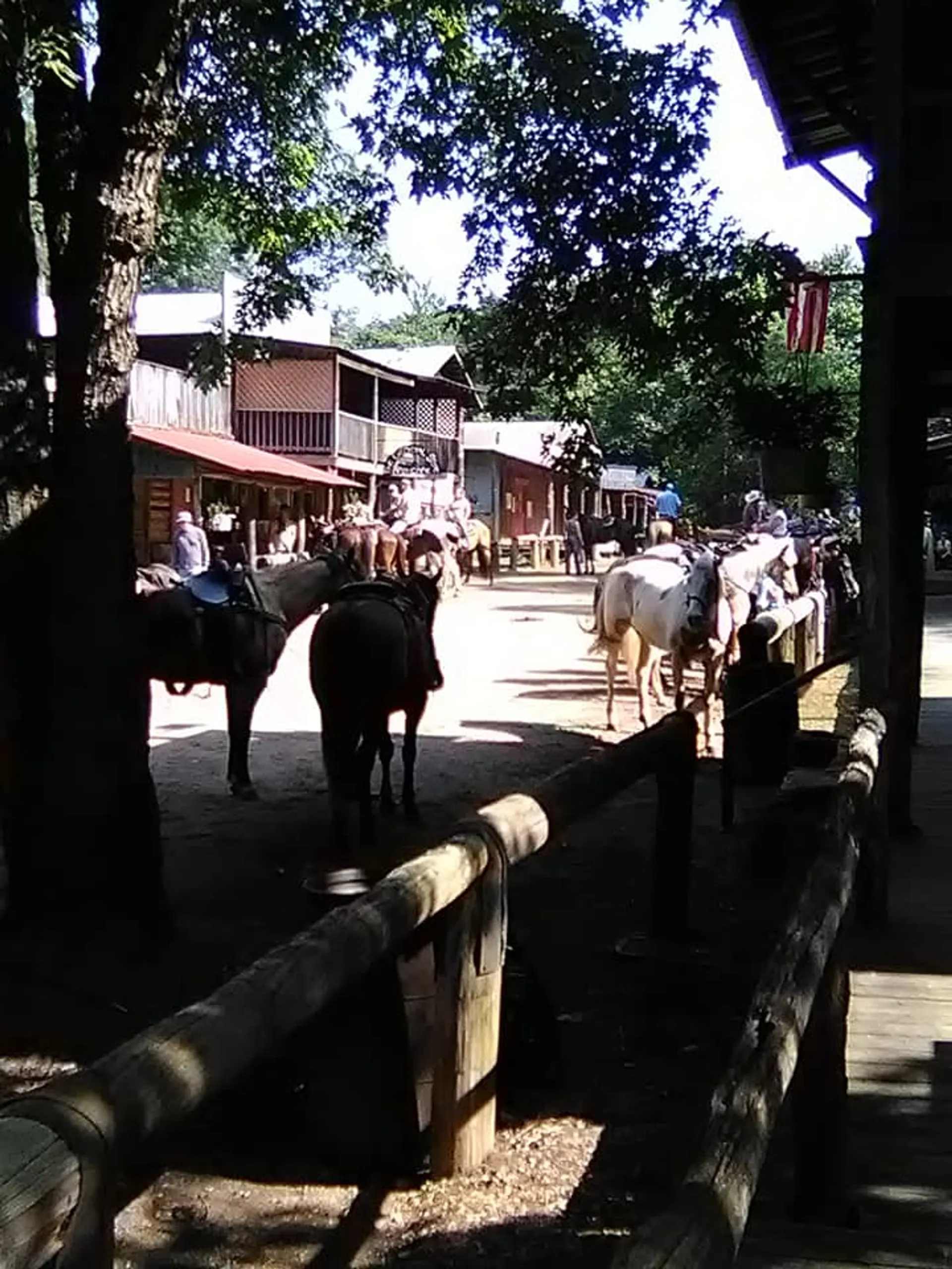 Love Valley, NC: A Cowboy Town