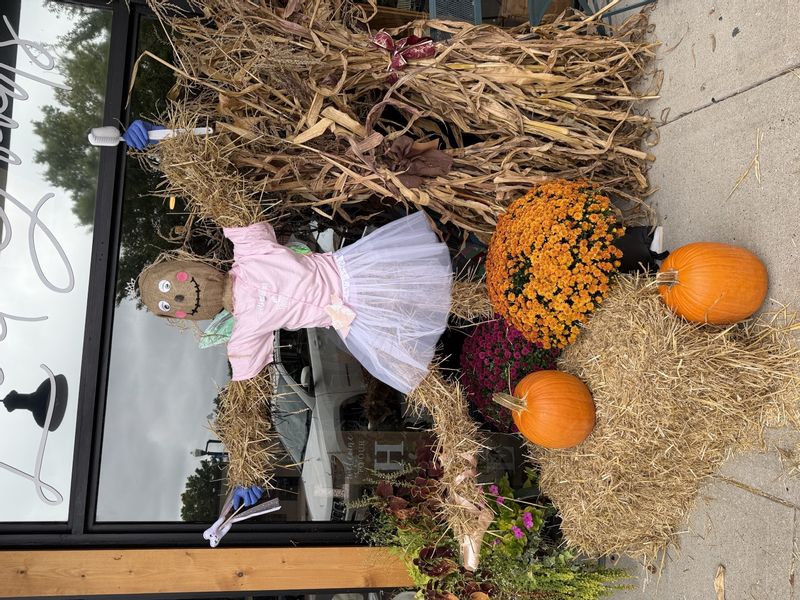 Kimberly Dryden Pitts DDS Scarecrow Ballerina