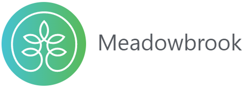 Meadowbrook Counseling