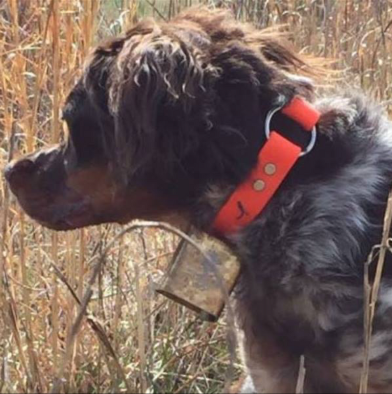 Quail Haven Hunting Preserve & Skeets