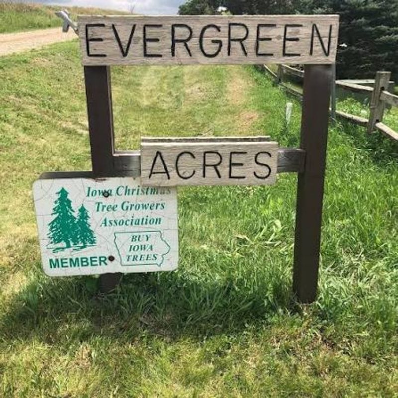 Evergreen Acres