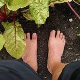 Barefoot Acres Farm