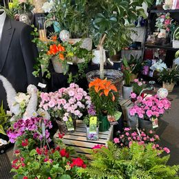Evart Floral Boutique