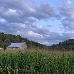 Sunny Pointe Corn Maze