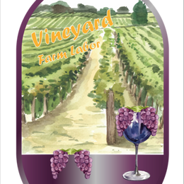 Vineyard Farm Labor LLC 