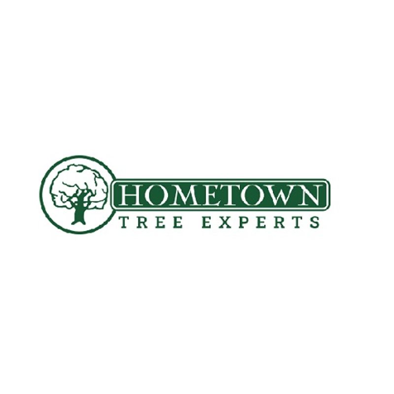 Hometown Tree Experts