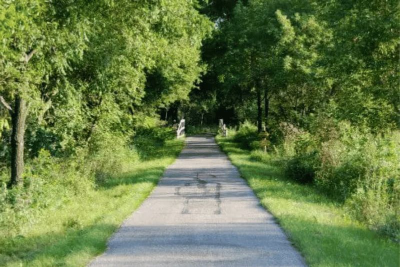 A paved section of the Root River State Trail stretches through a shaded corridor of lush green trees on a calm summer day in Bluff Country, Minnesota.