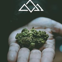 Apex Dispensary