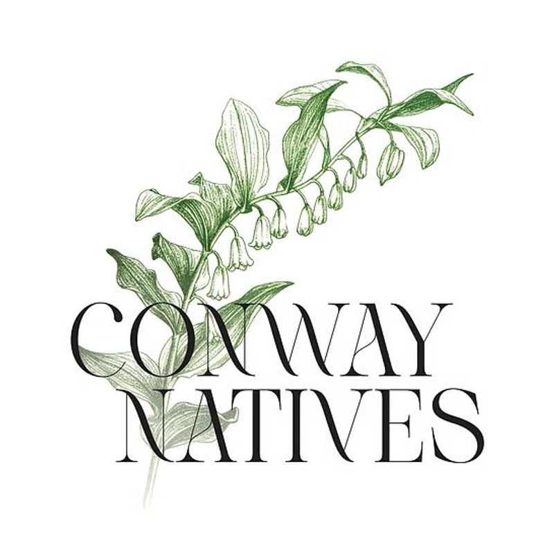 Conway Natives