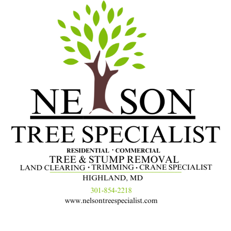 Nelson Tree Specialists