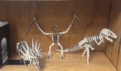Laser Cut Dino Bones