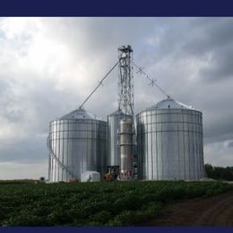 D&B Agro