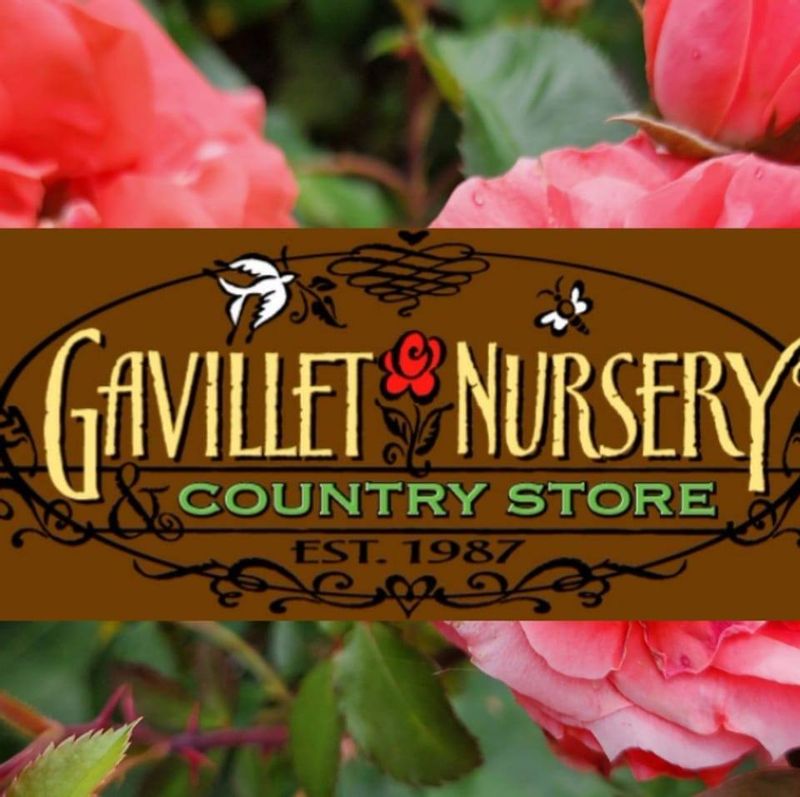Gavillet Nursery