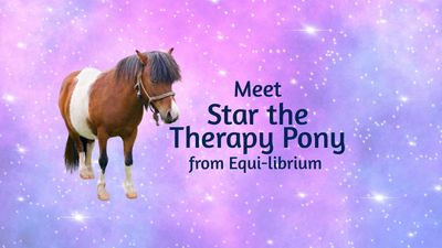 Meet Star the Therapy Pony