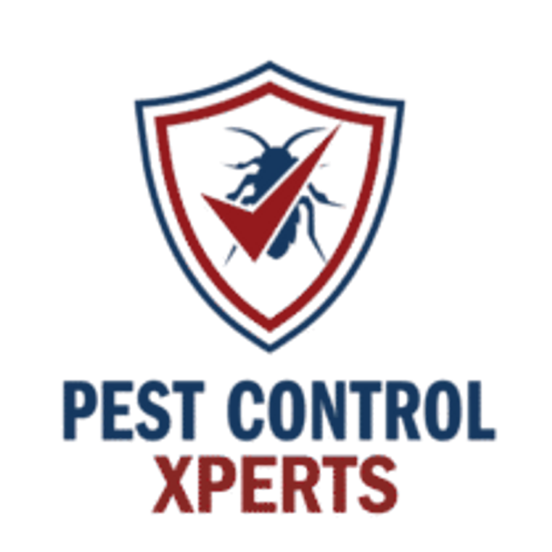 Hacienda Heights Pest Control Experts