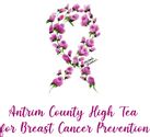 Antrim County High Tea for Breast Cancer Prevention