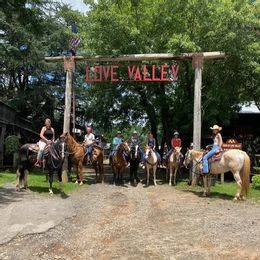 Brushy Mountain Horseback Adventures