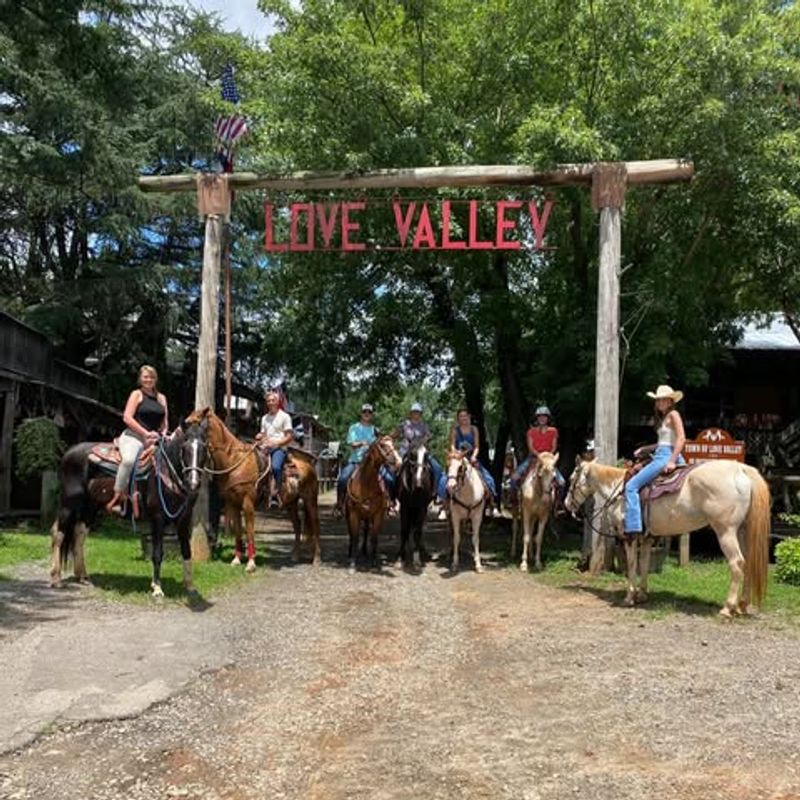 Brushy Mountain Horseback Adventures