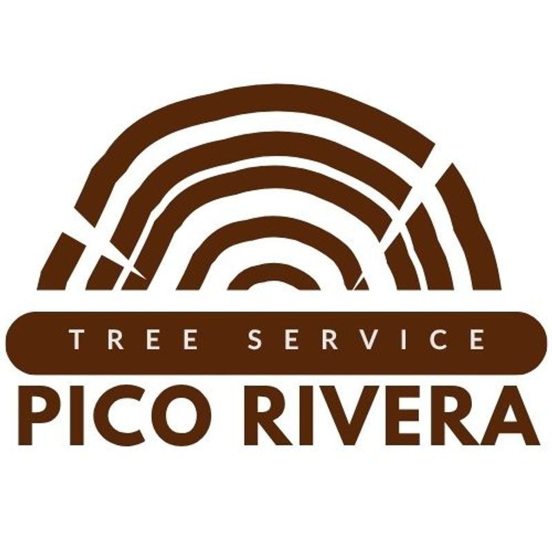 Treedge Pico Rivera Tree Service