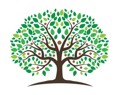 How to Improve your Family Tree in Ten Minutes or LESS!!!