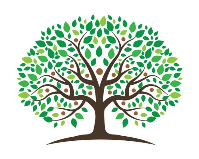 How to Improve your Family Tree in Ten Minutes or LESS!!!