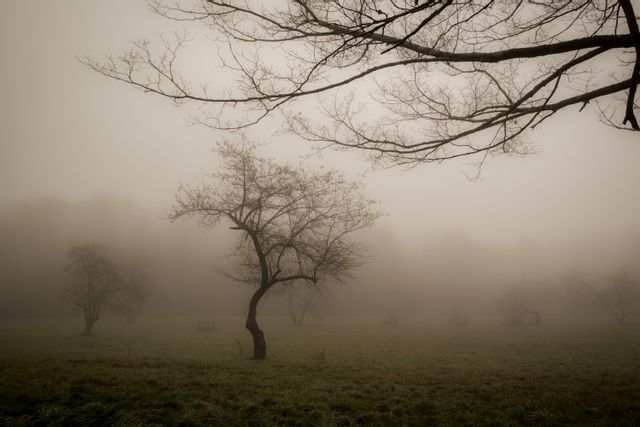 First Place: 2024 Website Photo Contest