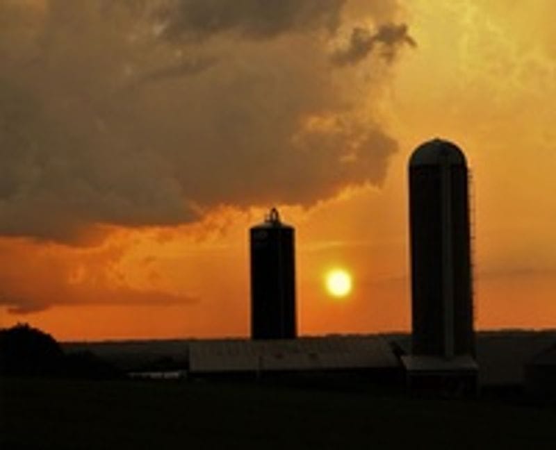 Bluff Country Photography