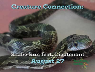 Creature Connection: Vex123 Snake Run