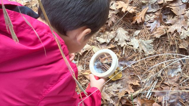 Family Nature Walk