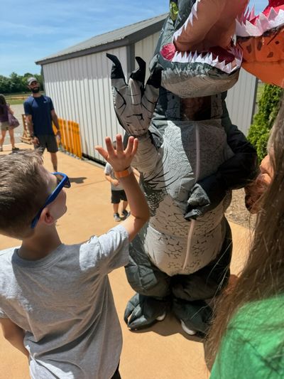 Dino Family Fun Day