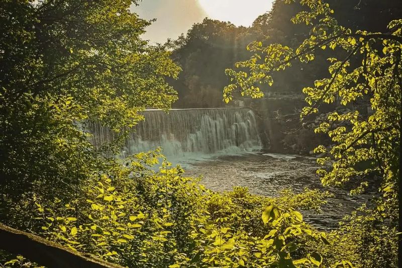 Sunlight filters through leafy green trees to reveal the Lanesboro dam in the distance, with water spilling over the low waterfall into the river below, framed by lush summer foliage.