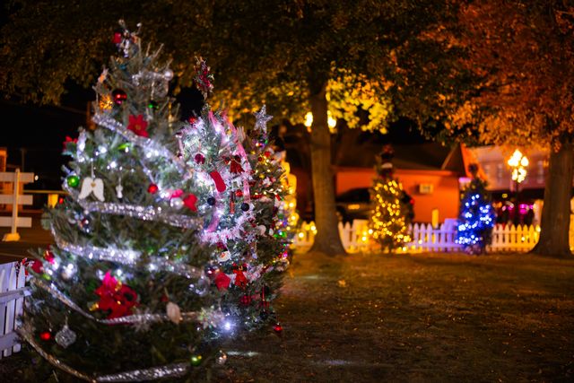 Christmas tree displays at Ardmore Tinsel Trail